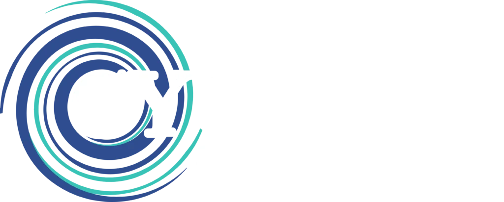 Cyclone Septic Plumbing Logo
