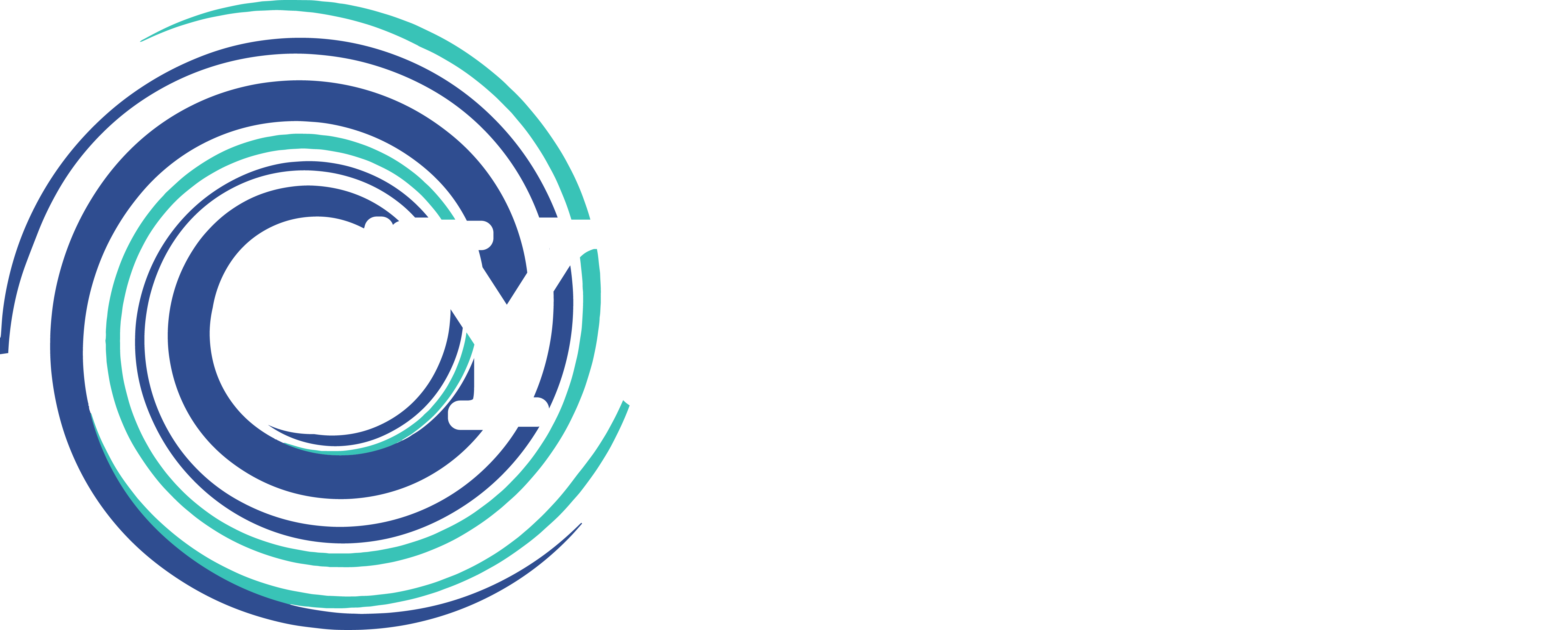 Cyclone Septic Plumbing Logo