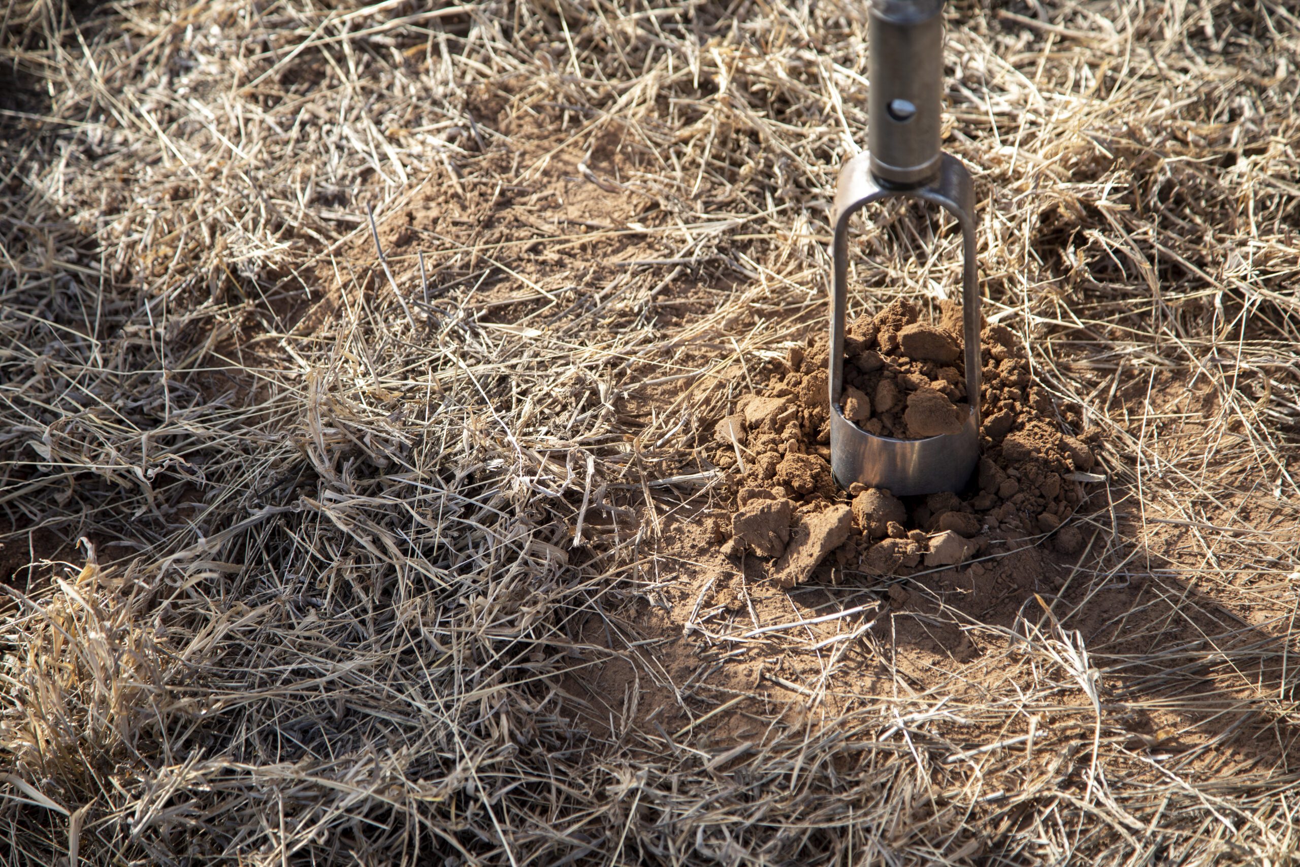 Dawn Performing Soil Test with Auger in Oklahoma | Cyclone Septic & Plumbing Dawn Rohrs using an auger to collect soil samples for a septic system evaluation in Oklahoma