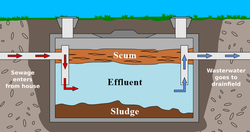 SepticTank | Cyclone Septic & Plumbing graphic of septic tank showing how sewage separates into scum effluent and sludge