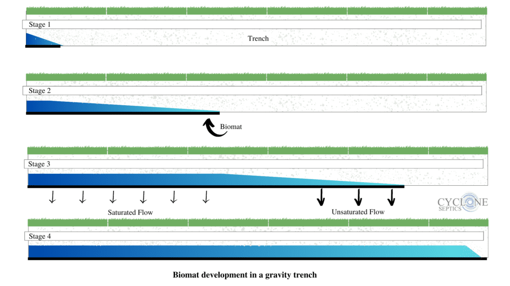 How biomat develops in a septic drainfield