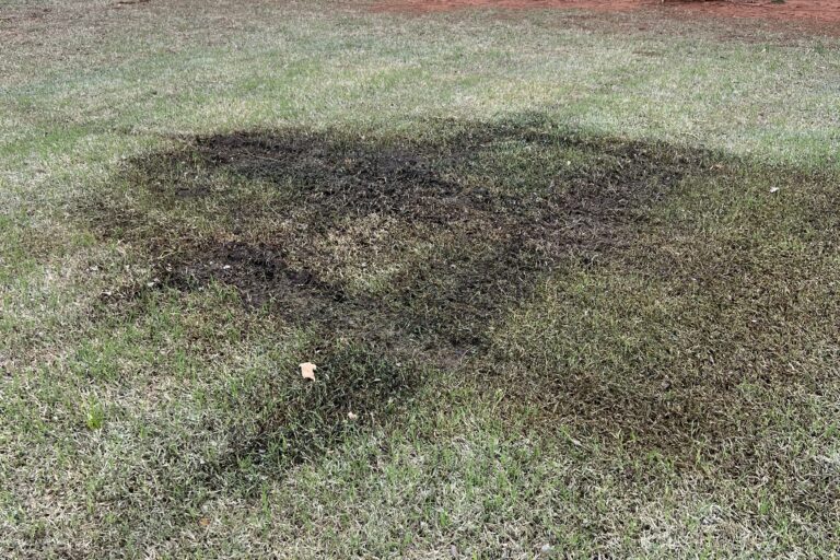 Surfacing water above a failing septic system in Guthrie, Oklahoma
