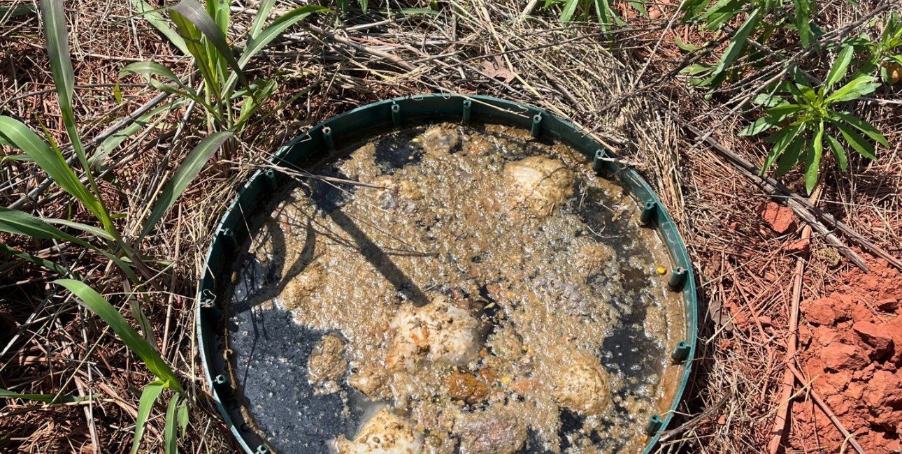 septic tank overflowing | Cyclone Septic & Plumbing septic tank backing up