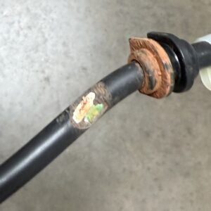 electrical cord damaged by mouse | Cyclone Septic & Plumbing | Cyclone Septic & Plumbing electrical cord damaged by mouse
