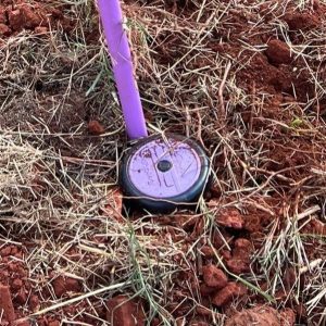 4da9ec09d02b86bf20231111-94-fhbt3q A purple recycled water Maxi-Paw sprinkler installed by Cyclone Septics
